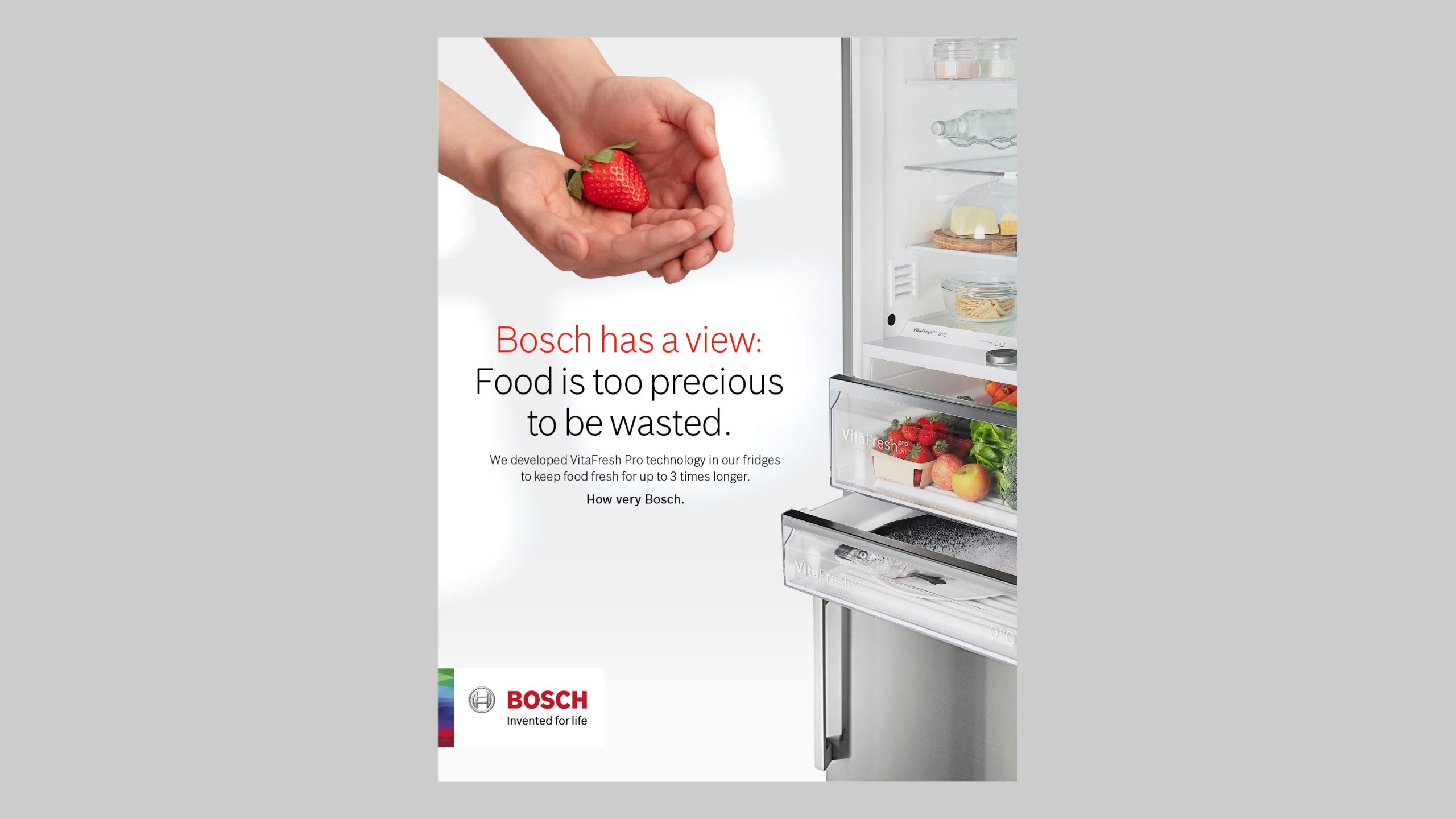 bosch2-1